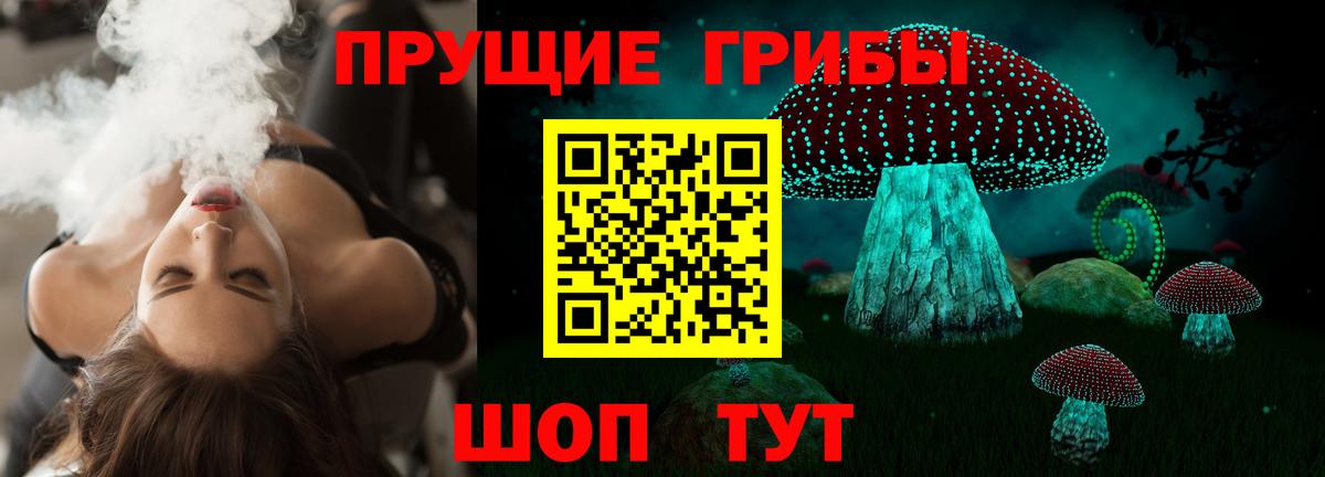 Псилоцибиновые грибы Cubensis Нарткала